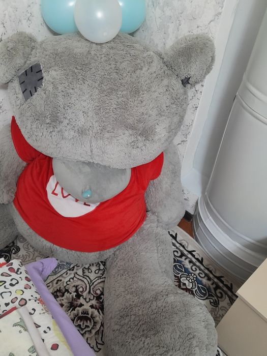 Teddiy Ayiq katta