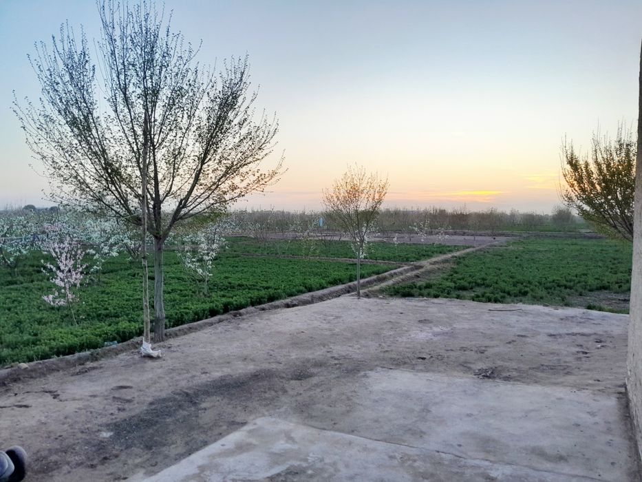 Uy Sotiladi !!! Narxi ustida kelishiladi