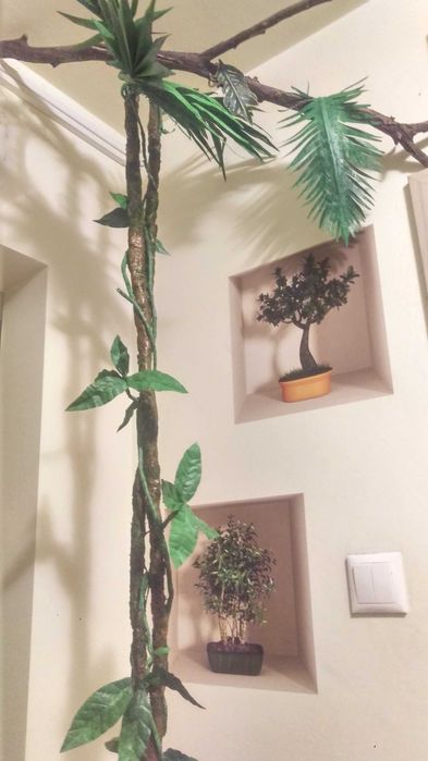 Decor exotic liana cu muschi si frunze de palmier