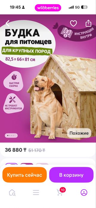 Вольер с будкой