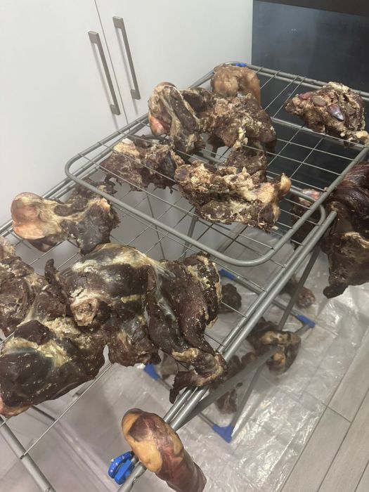 Мясо жеребёнка продаётся