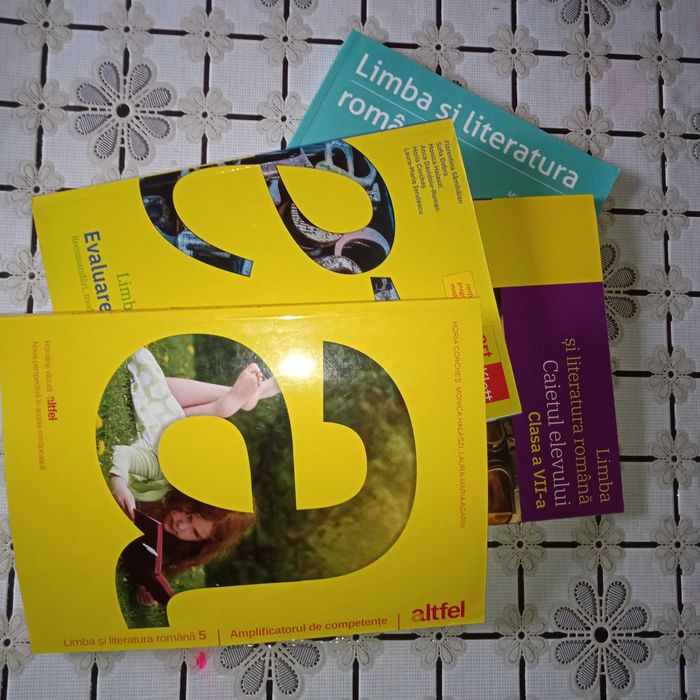 Meditații limba și literatura română, online (60 lei - 1h30 min)