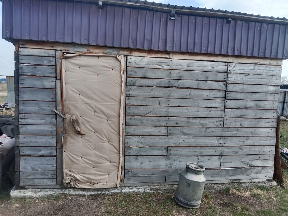 Продам дом село Петерфельд