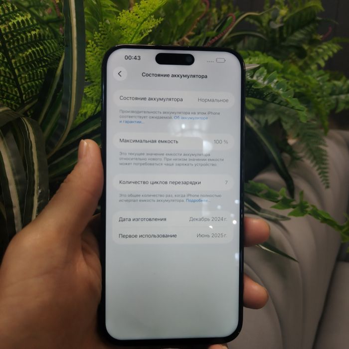 iPhone 15 Pro макс память 256 гб
