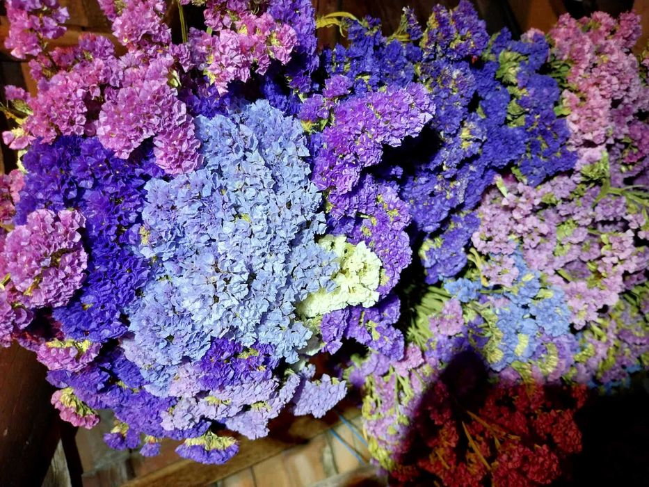 Flori uscate, buchete sau materie prima