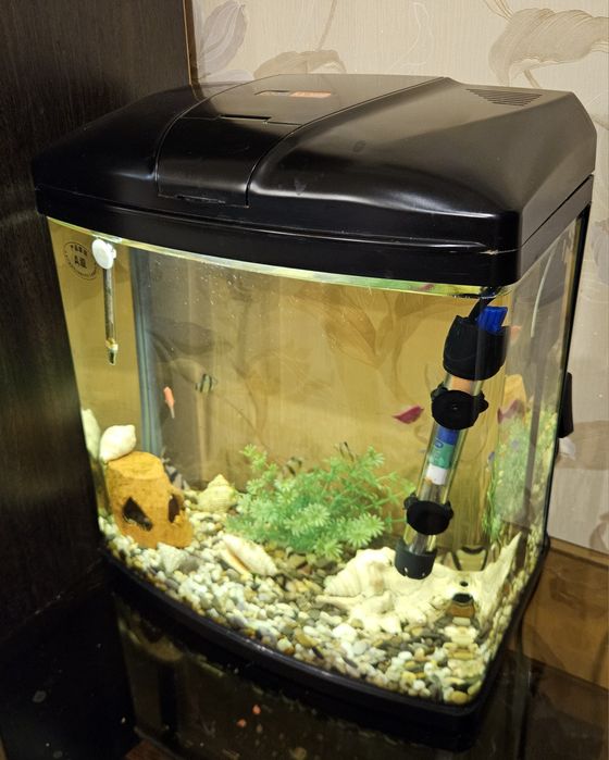 Аквариум вместе с рыбками