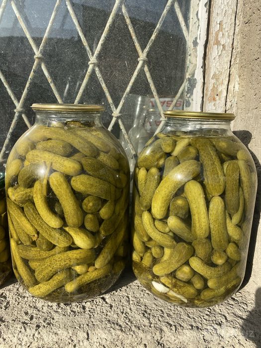 Продаются маринованные заготовки