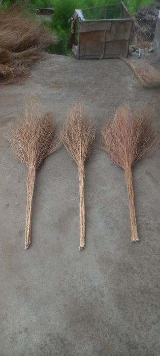 METLA kocha supirgi optim!!!