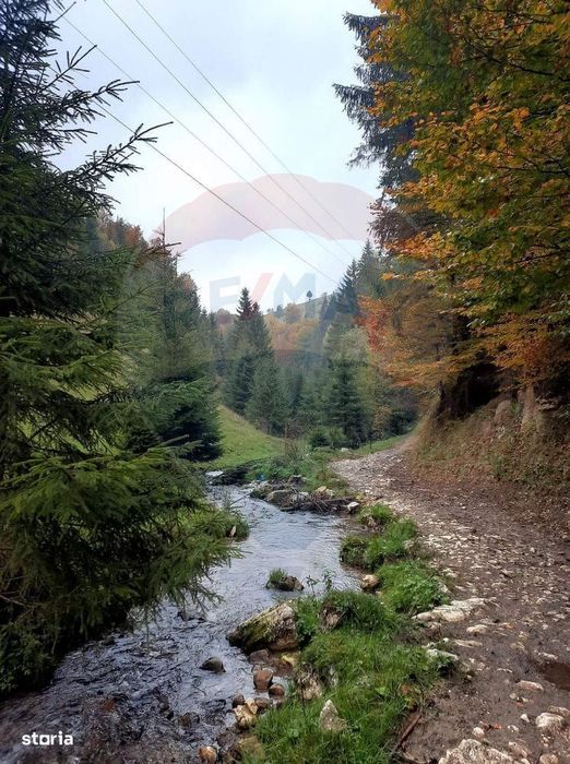 Teren 38,704mp Sirnea | 2.000 mp Intravilan | 36,704 Extravilan