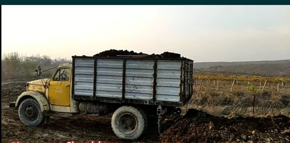 Газ 51 самосвални мол-қўйларга алмаштираман