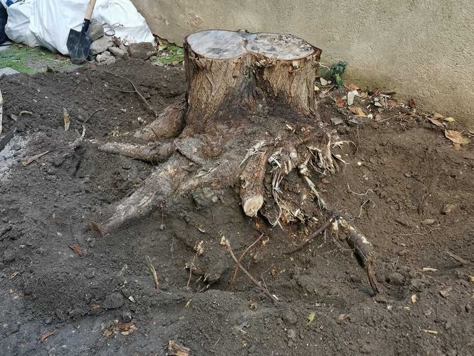 Косене/Рязане/Оформяне/Поддръжка/Почистване/Пръскане