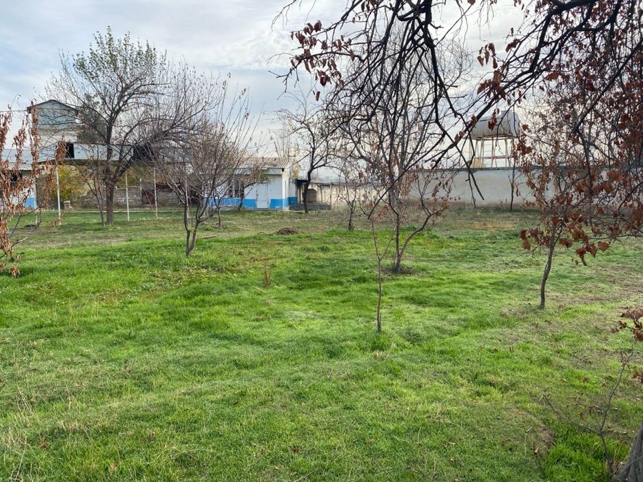 Продается Свой участок напротив парка «Янги Узбекистан»