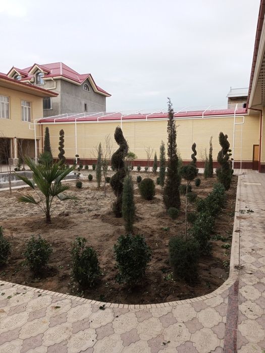 Gazon ekish landshaft dizayni