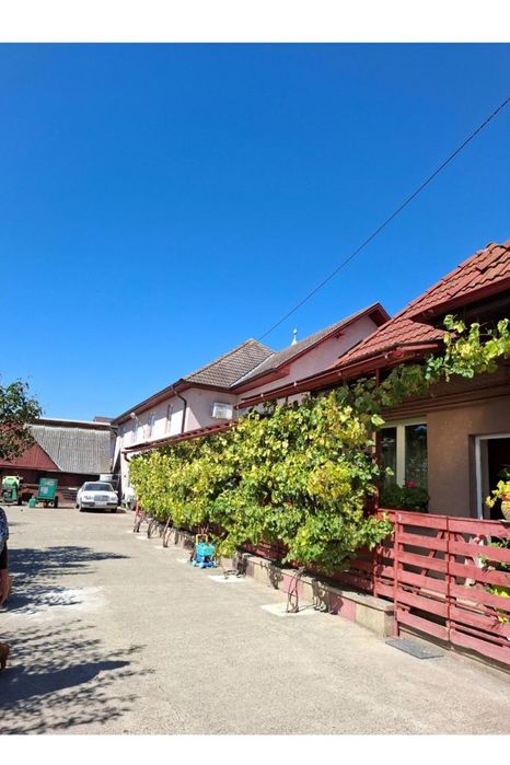 Proprietate mixtă, locuință + spații comerciale,atelier , Sântana