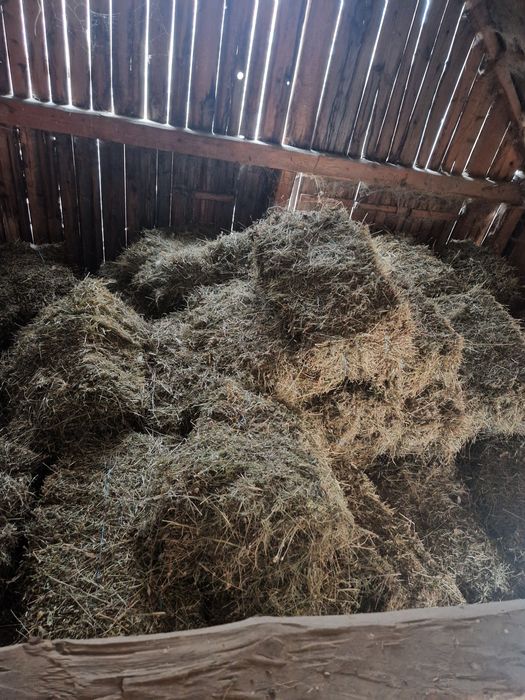 Vand baloti fan, otava, lucerna