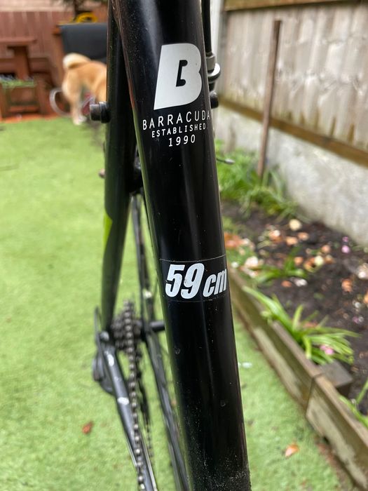 Шосеен бегач barracuda