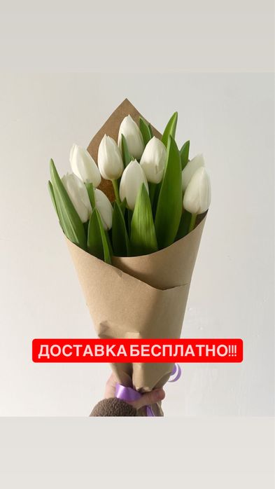 Тюльпаны.корпоративные заказы