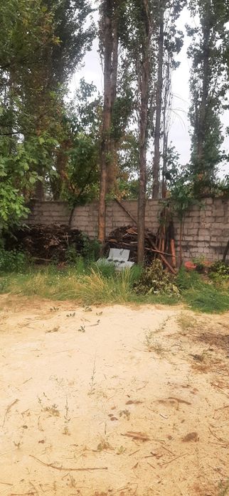 Тошкент вилояти, Чирчик – Янги Бозор, угловой
Йўл ҳар икки томондан /