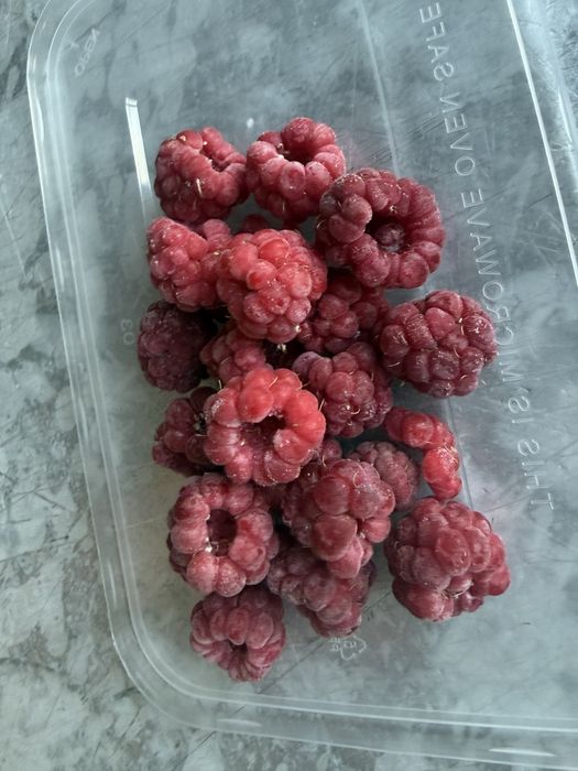 Малина Замороженная сорт Таджикский и местный