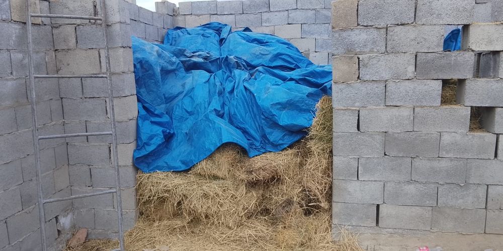 Жоңышқа сатылады тегін