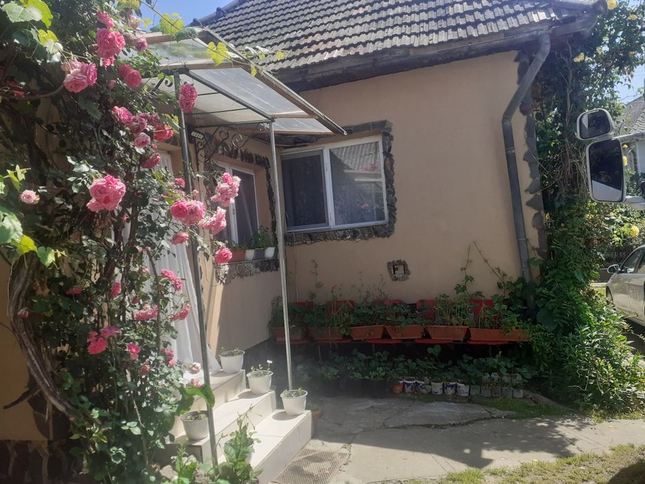 Vind   ,    Proprietar Ocolis Maramures str Culturii nr 110 vind casa cu anexe