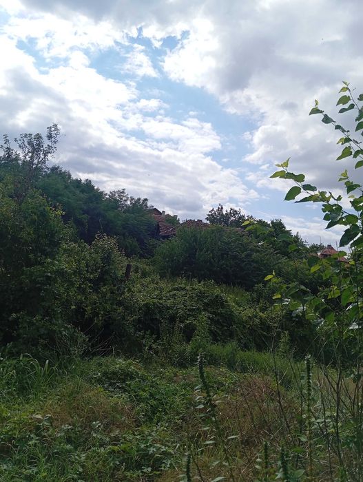 Косене почистване на дворове