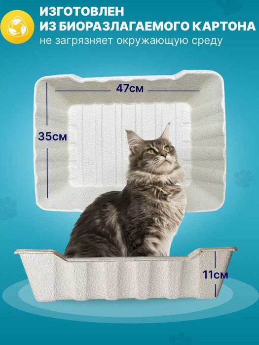 Одноразовый лоток