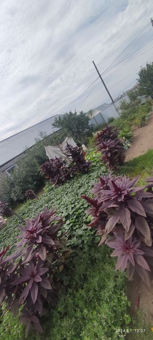 Продам частный дом