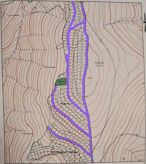 Teren Varful Roman / Ursuletu Cedare Cesiune