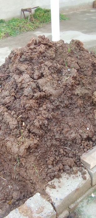 Poru gung ugit moldiki bepul beraman kimga kk bulsa kelib opketsin