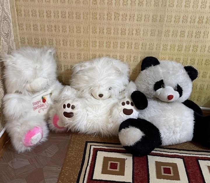 Yumshoq õyinchoq sotilad