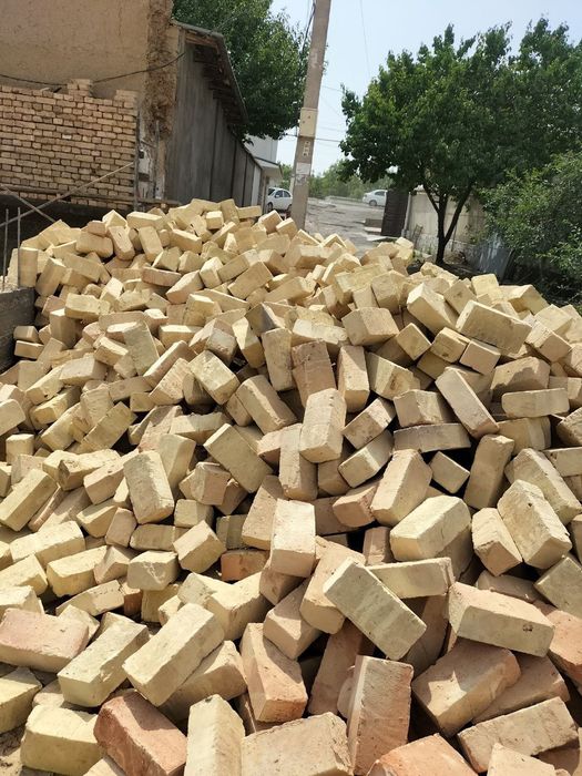 Пишган ва хомгишт 900 су́м