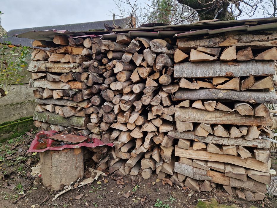 Lemne de foc fag uscat