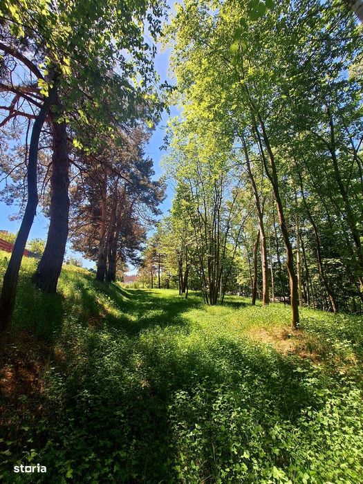 Teren intravilan de vânzare-3600 mp-Cisnadioara!
