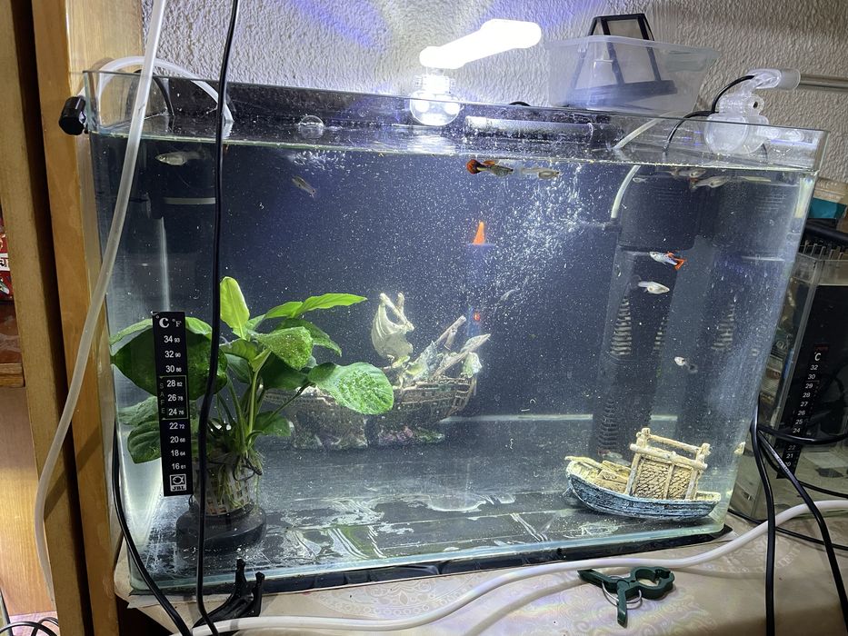 Acvariu 50 litri