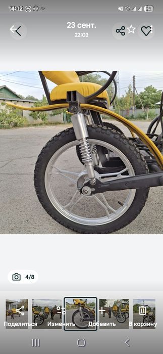 Продается пони с двуколкой