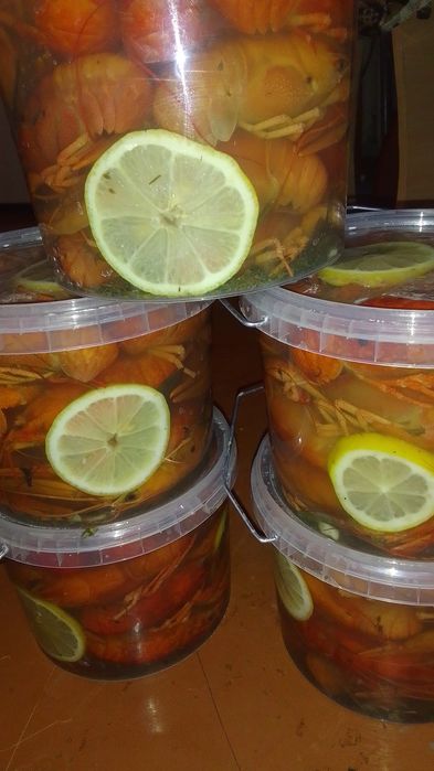 РаКи живые. Раки варёные.