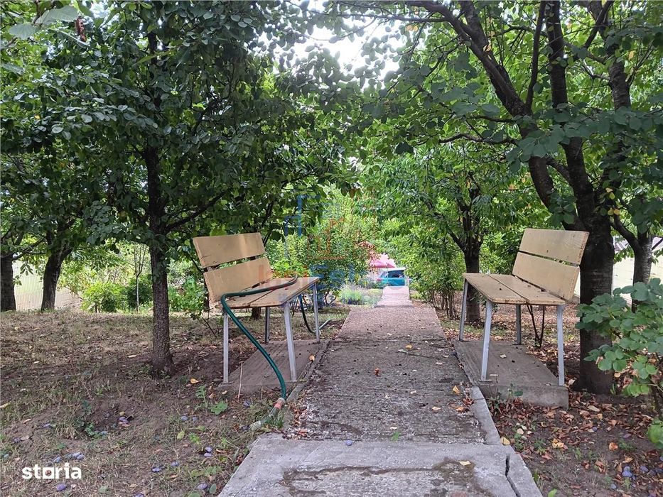 Rediu langa gradinita KiKi TEREN 500mp intravilan cu toate utilitatile