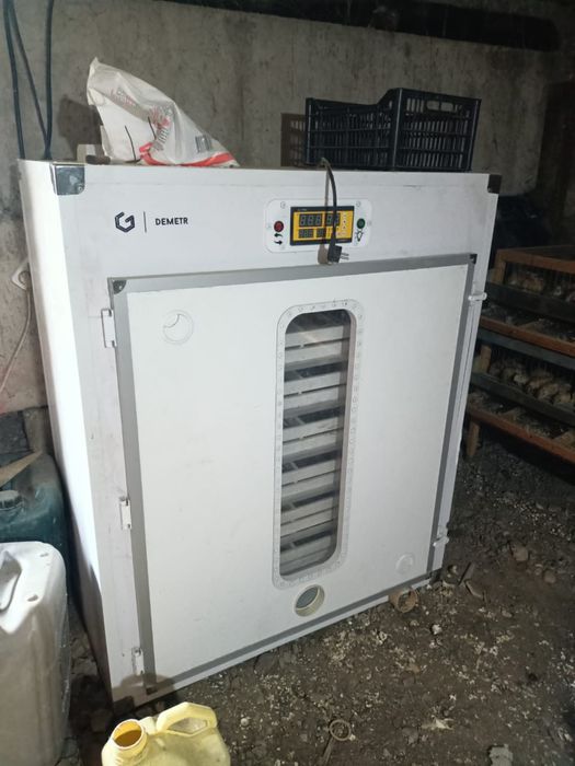 Инкубатор DEMETR большие яйца 1500 маленьких 3000 поместится