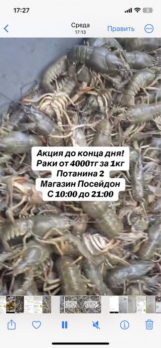 Раки живые, всегда в наличии