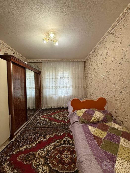 Qora qamish 2/4  tansiqboyev