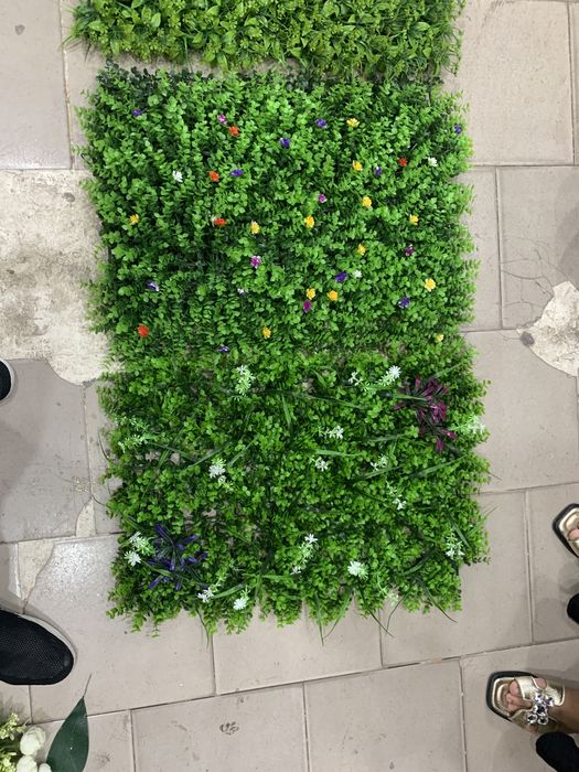 Декоративные короя мукунем