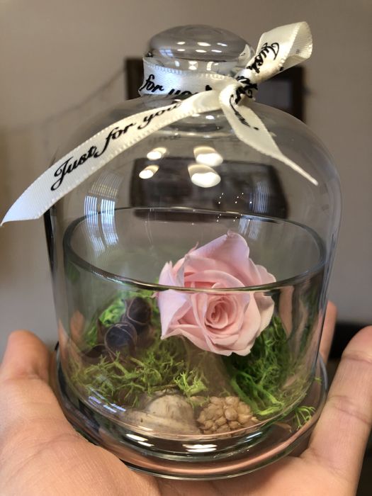 Вечна роза в стъкленица