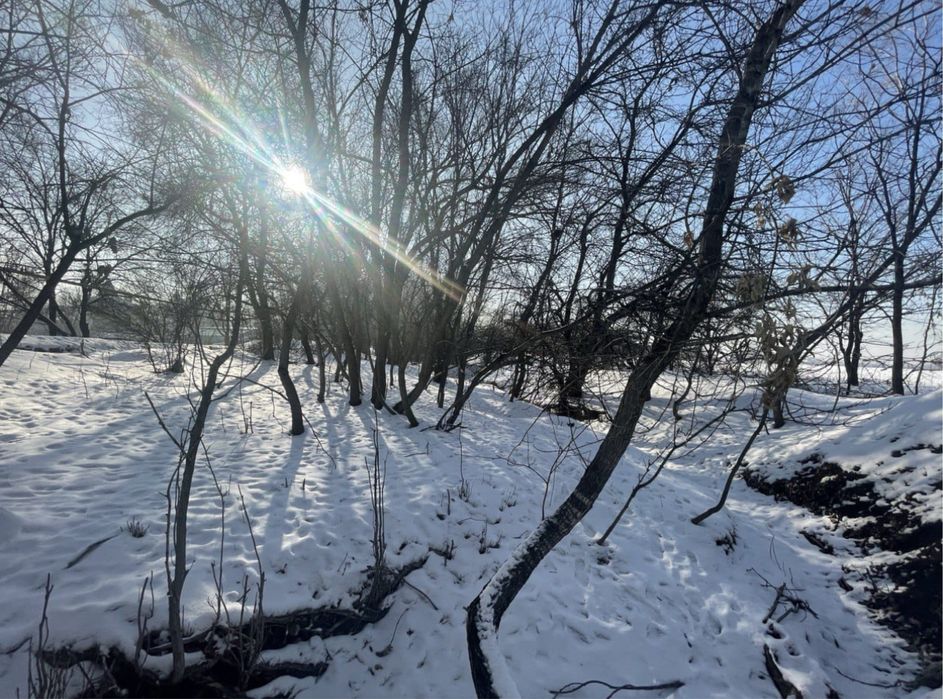 Участок 15 соток Каскелен