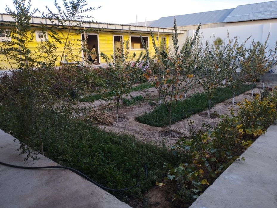 Участок в 19 микрорайон.