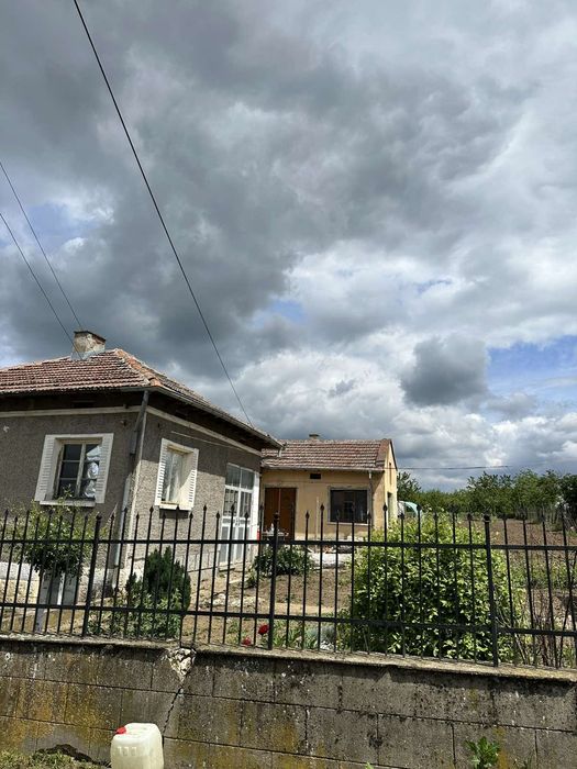 Рязане и премахване на опасни дървета