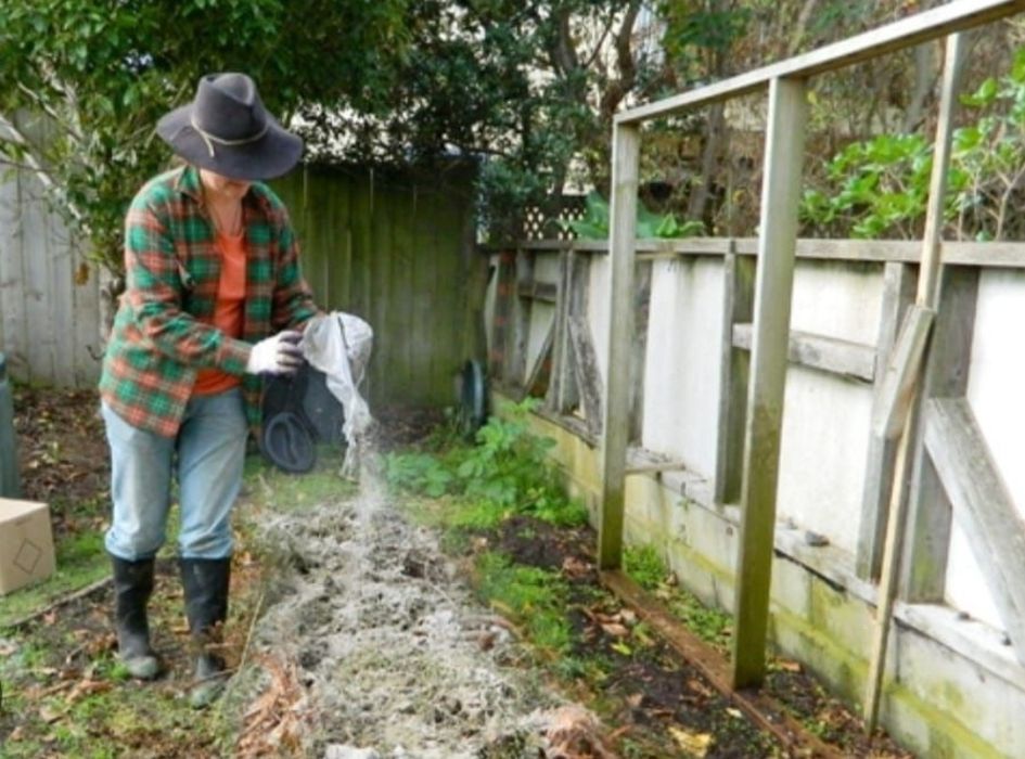 Când Cenușa Bio pentru Găini și Grădină