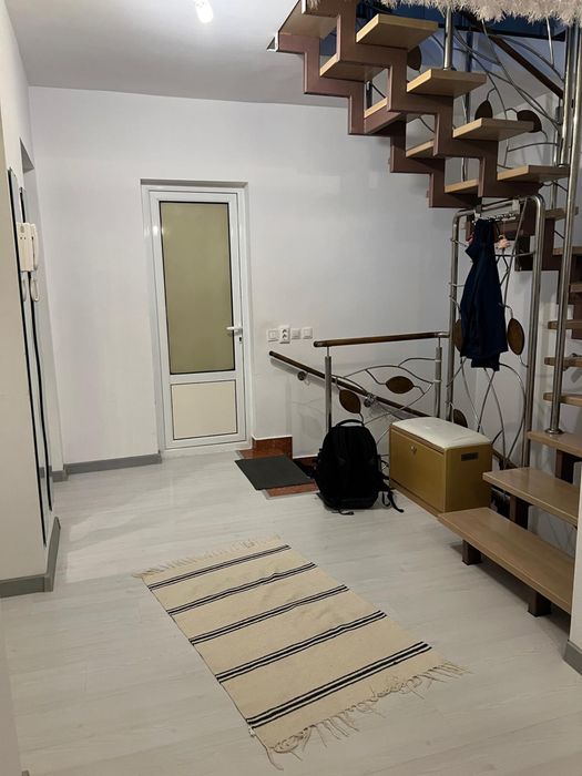 Colega de apartament