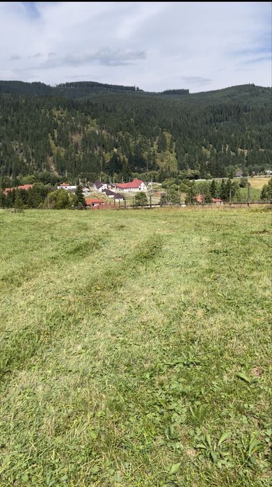 Teren in Vatra Dornei