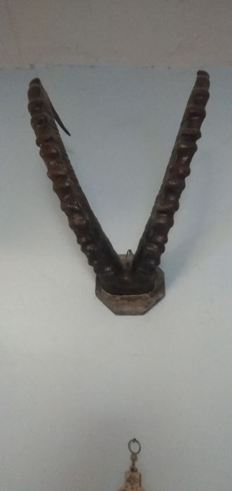 Рога горного архала